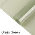 Papier d'emballage transparent vert herbe en film de gelée OPP pour bouquets de fleurs - 20 Feuilles/Paquet (56x55cm) / Vert Herbe