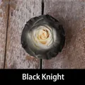 Effet de rose bicolore Black Knight dramatique avec peinture florale professionnelle - 450ml / Chevalier Noir