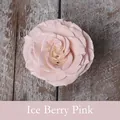 Peinture en aérosol florale Ice Berry Pink sur une tête de rose couleur pêche réaliste - 450ml / Rose Baie de Glace