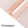 Papier cellophane translucide couleur champagne pour bouquets - 20 Feuilles/Paquet (56x55cm) / Champagne