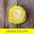 Tête de rose bicolore jaune citron et blanc avec effet de peinture florale pro - 450ml / Jaune Citron