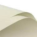 Premium waterproof tender milk green flower wrapping paper for florist bouquet packaging - Tender Milk Green