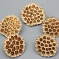 Five golden decorative dried lotus seed pods for home floral arrangements - Artificial Lotus Pod Style