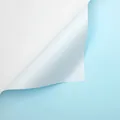 Papel Ouya impermeable de doble cara para envolver flores en blanco y azul claro - Azul Encantador Y Blanco / Paquete de 20 Hojas