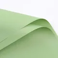 Premium light green waterproof flower wrapping paper with a smooth matte finish texture. - Korean First Love Series / 20 Sheets/Pack (55*53cm) / Matcha Green