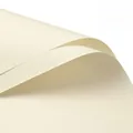 High quality waterproof cream white florist wrapping paper for elegant flower bouquet design - Off White