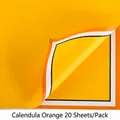 Calendula orange floral wrapping paper for flower bouquets, 20 sheets per pack bundle - 20 Pcs/Pack / Calendula Orange