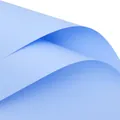 Premium light blue waterproof matte flower wrapping paper for elegant floral bouquets - Black Frame Sky Blue Lens Arrow