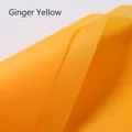 Premium ginger yellow waterproof matte wrapping paper for floral bouquets and gift packaging - 20 Pieces/Pack (57cmx57cm) / Turmeric