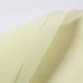 Premium light yellow matte waterproof floral wrapping paper for bouquet packaging - 20 Pieces/Pack (57cmx57cm) / Light Yellow