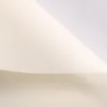 Elegant cream white waterproof flower wrapping paper with fine artistic texture for bouquets - Per Sheet / 15 Pieces/Pack (58x58cm) / Creamy White