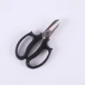 Forbici professionali da fiorista con manici neri ergonomici per la potatura delle rose - Generazione 1 (16.7cm) / Gen 1: 17.5x10.2cm / Gen 2: 16.7x9.8cm / Nero