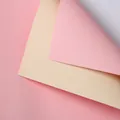 Double-sided waterproof floral wrapping paper in pink and cream color. - Powder Pink + Cream White