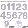 Light purple glitter number stickers 0-9 for DIY pet birthday party hat decoration - Number Stickers / Silver