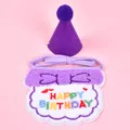 Detail view of embroidered HAPPY BIRTHDAY pet bib and purple felt party cone hat - Hat Scarf Set / Purple
