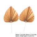 Set of 2 metallic gold folding fan cake toppers for birthday dessert table decoration - Small (2 Pieces) / Gold