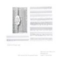 White ink PET lace long sticker pack with vintage embroidery edge for scrapbooking decoration - Cloudy Silk Embroidery