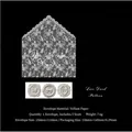 Elegant white lace pattern vellum envelope set featuring three vintage relief stickers - Lace Texture / 1 Envelope And 3 Stickers