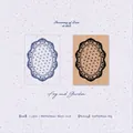 Beechwood rubber stamp with intricate lace border pattern for DIY scrapbooking - 53x70x24mm / Fog and Garden