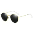 Classic retro round polarized sunglasses with a sleek thin golden metal frame - Gold Gray Frame White Tips (Polarized) C23