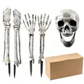 Realistic Halloween skeleton decoration set featuring skull and arm stakes with box - Skeleton 5pcs Set