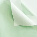Mint green and white two-tone waterproof flower wrapping paper for DIY gifts - 56x56cm (20 Sheets) / Grass Green And White