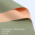 Waterdicht tweekleurig bloemen inpakpapier in champagne en matcha groen 58x58cm - 56x56cm (20 Vellen) / Champagne + Matcha