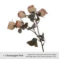 Vintage champagne pink artificial rose branch with 5 flower heads for home decor - Champagne Pink