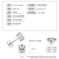 Pendientes de moissanita de 3 quilates color D VVS1 con chapado de alta calidad - Estilo Ovalado / 6X8mm / Plata