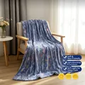 Couverture lumineuse en flanelle bleue avec des motifs de requins et de poissons - Requin / 70*100CM