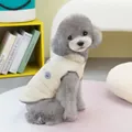 Grey poodle model wearing a beige quilted winter dog vest with cute bear embroidery - S / Khaki