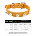 Yellow PU leather pet collar with pearl studs and size chart for dogs and cats, size S-XL - Size S (1.5cm*30cm) / Gold