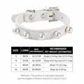 White PU leather pet collar with elegant pearl studs and detailed size chart - White