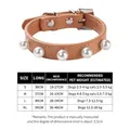 Adjustable PU leather pet collar with white pearls and size chart for dogs and cats - Khaki