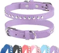 Durable purple leather dog collar featuring silver studs and adjustable metal buckle - XS (Single Row Rivets) / Purple