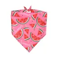 Pink pet bandana with watermelon print and Summer text for dogs and cats - L64*45*45 / Summer Watermelon