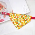 Adjustable pet bandana collar featuring a vibrant orange citrus print on a red leather strap - Size XS (15-21cm) / Orange