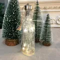 Clear bottle Christmas hanging ornament with warm white LED fairy lights and jute rope - Glass Filament Bottle