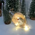 Glow-in-the-dark plastic Christmas bulb ornament with burlap and white berries inside - Hoop with Colorful Light Bulbs