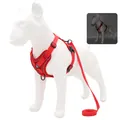 Red reflective mesh dog harness vest with matching 1.5m leash set for small pets - Size S (With 1.5m Leash) / Red
