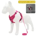 Harnais réfléchissant rose respirant pour chien avec ensemble de laisse de 1,5 m - Rose rouge