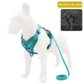 Harnais pour chien turquoise réfléchissant et respirant avec laisse assortie de 1,5 m - Bleu lac