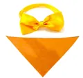 Set aus gelber Haustier-Fliege und orangefarbenem Dreieckstuch für Hunde und Katzen - Fliege Halstuch Set / Einheitsgröße / Gelb+Orange