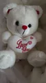 Adorable soft white plush teddy bear holding a heart with Love You embroidery detail - 25cm / White