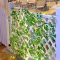 Solar LED Lichterkette mit grünen Blättern für den Garten und Zaun Dekoration im Freien - Weidenblatt-Lichterkette / USB-Modell 2m 20 LEDs (Warmlicht)