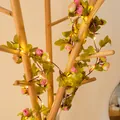 Warmweiße LED-Girlande mit künstlichen rosa und weißen Rosen und grünen Blättern - Weiß & Pink Rosenlicht / Batteriebetrieben 2m 20LEDs (Warmweiß)