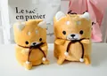 Soft Shiba Inu plush roll blanket, cute fleece dog throw for kids and home decor - Shiba Inu / S / Brown