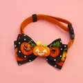 Macro detail of Halloween pet collar featuring pumpkin bow and adjustable orange strap. - Size XS (16-22cm) / Cute Pumpkin