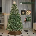 3-meter high decorated green Christmas tree with warm lights and crystal garland - Without Tree Skirt / 3m (300cm)