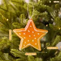 Decorazione natalizia a stella di pan di zenzero da appendere, 12cm per l'albero - Ciondolo a stella